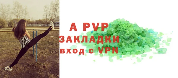 хмурый Нея
