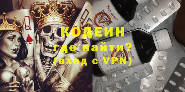 хмурый Нея