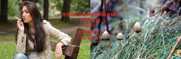 спайс Надым