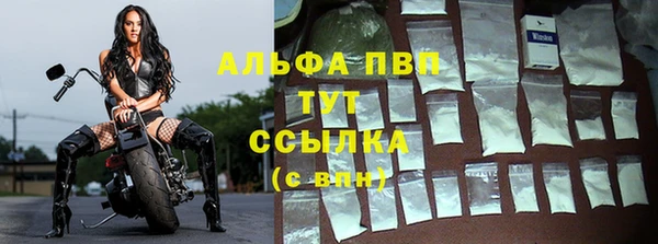 гашик Нефтекумск