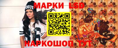 стаф Владимир