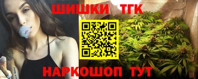 стаф Владимир