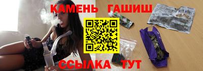 стаф Владимир