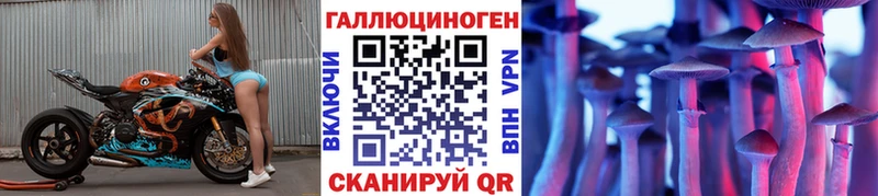 где можно купить наркотик  Братск  Галлюциногенные грибы Cubensis 