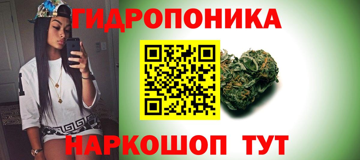 Бошки Шишки марихуана  Бошки Шишки OG Kush  Братск  Вход с VPN  Бошки Шишки VHQ  Бошки Шишки VHQ 
